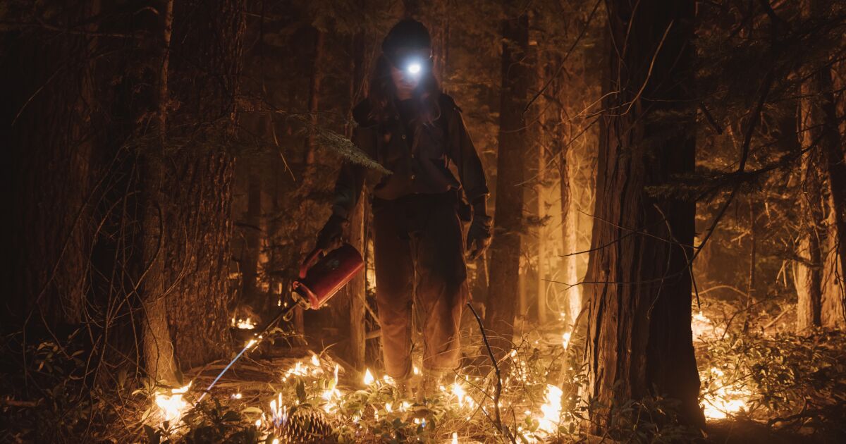 Un concours peut-il aider à résoudre le problème des incendies de forêt ?
