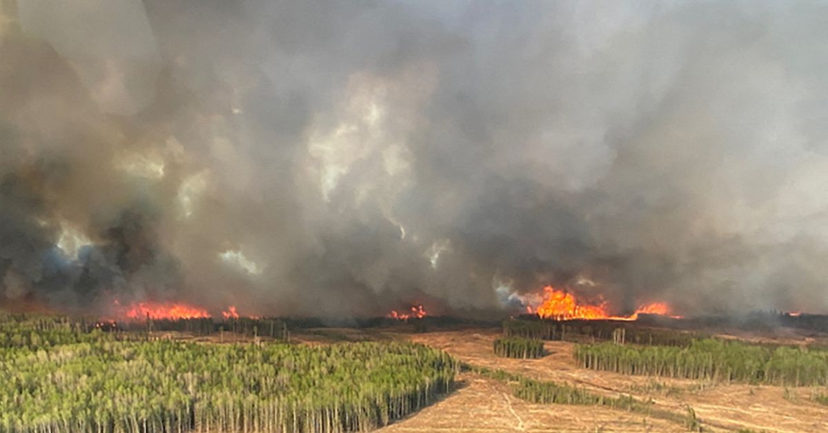 L'armée canadienne déployée pour aider à lutter contre les incendies de forêt en Alberta