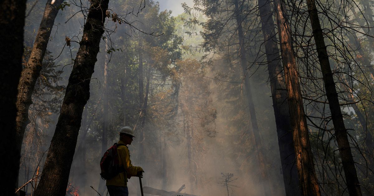 "La Californie est censée brûler": des experts enseignent aux propriétaires fonciers l'art des brûlages dirigés