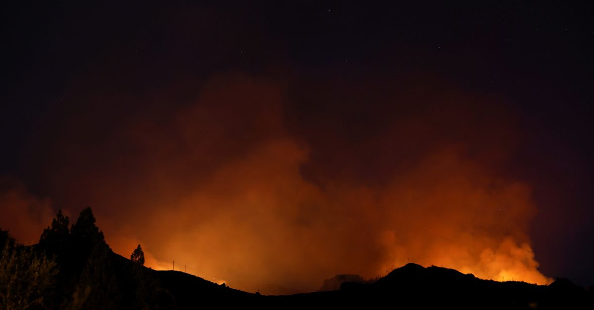 Un incendie de forêt sur l'île espagnole de Gran Canaria s'est "stabilisé", services d'urgence