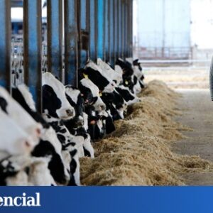 Le secteur agricole et de l’élevage comme fer de lance de la décarbonation