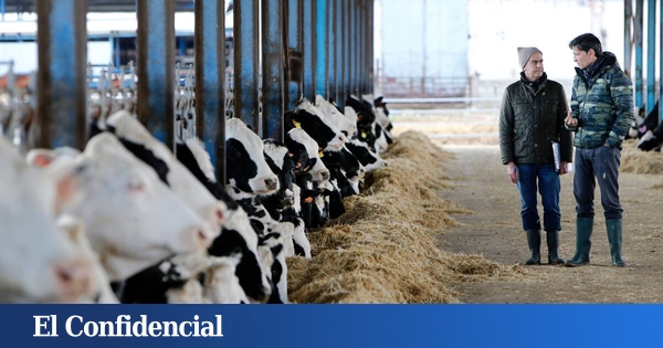 Le secteur agricole et de l’élevage comme fer de lance de la décarbonation