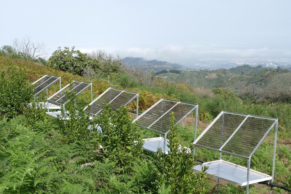 Captadores d'eau de Niebla.