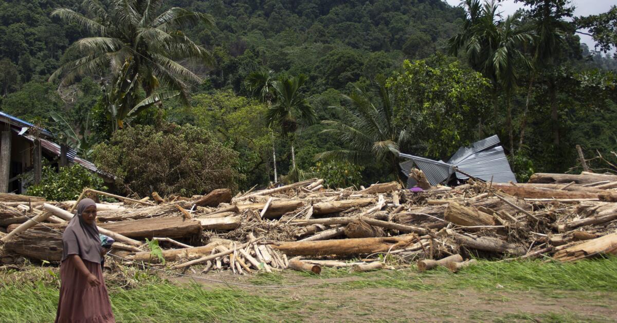 La déforestation en Indonésie intensifie les catastrophes naturelles