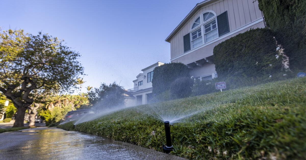 Opinion : La Californie doit conserver l’eau.  Pourquoi Sacramento traîne-t-il les talons ?
