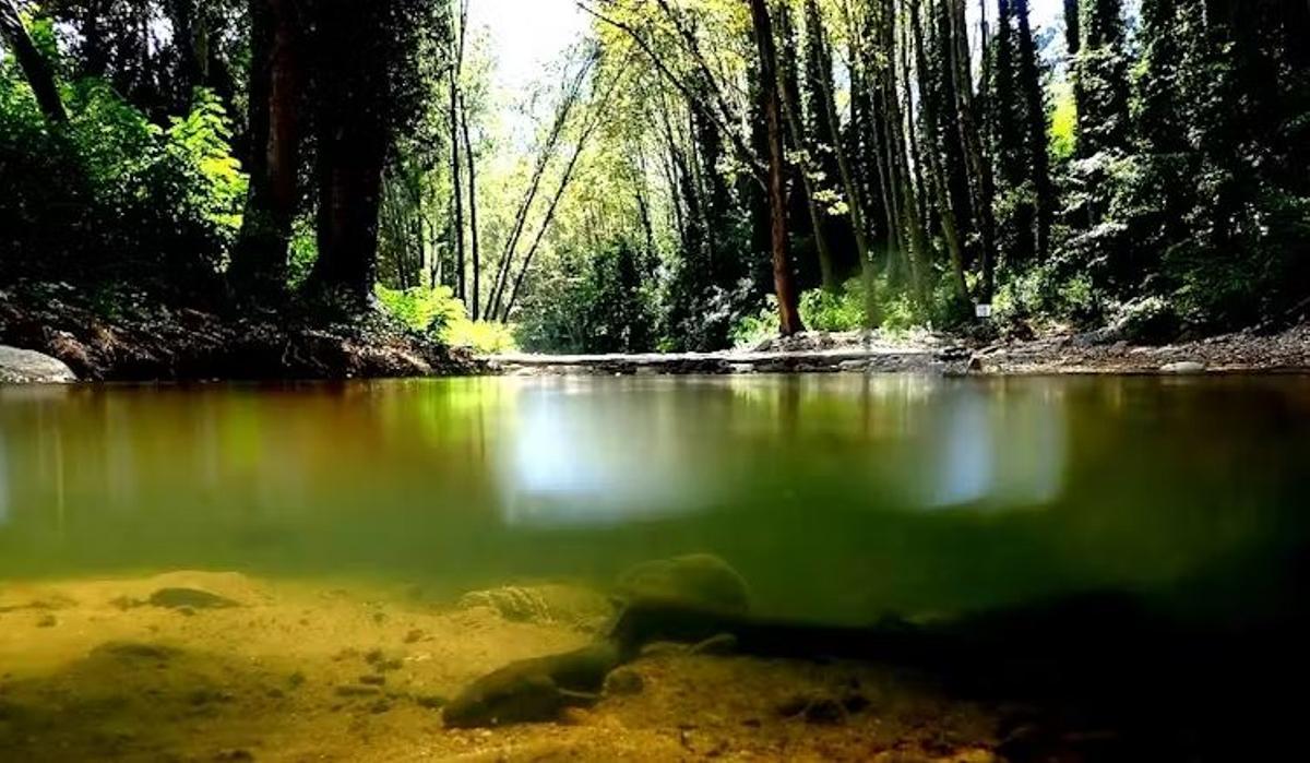 Une langue sur un fleuve de Gérone