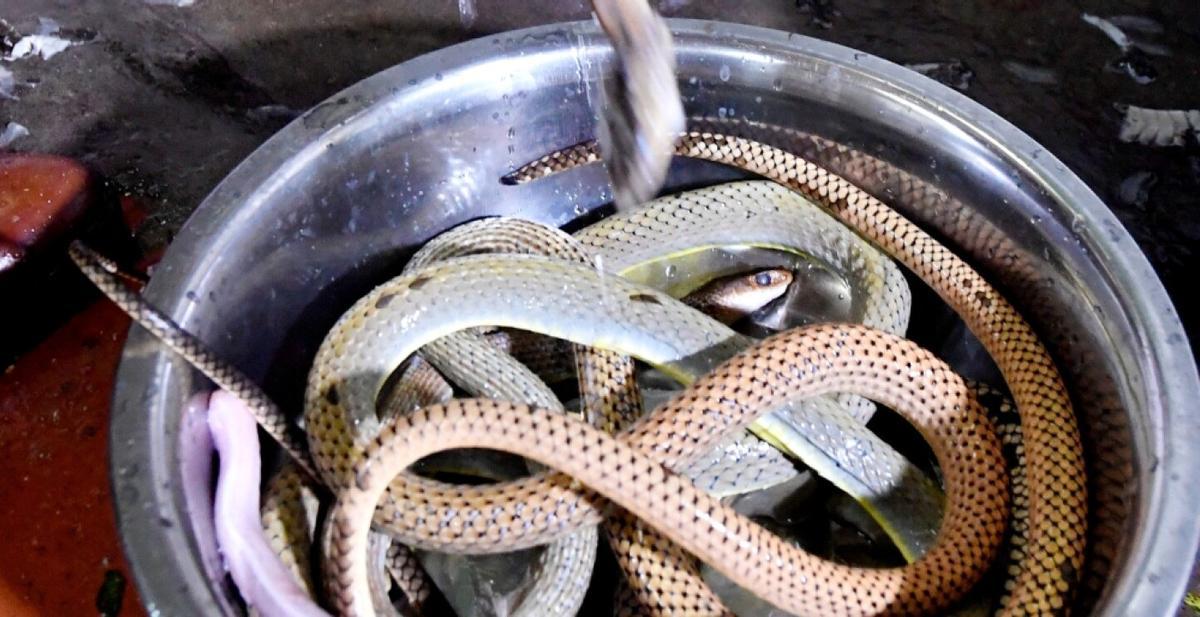Serpientes sur un marché du Vietnam