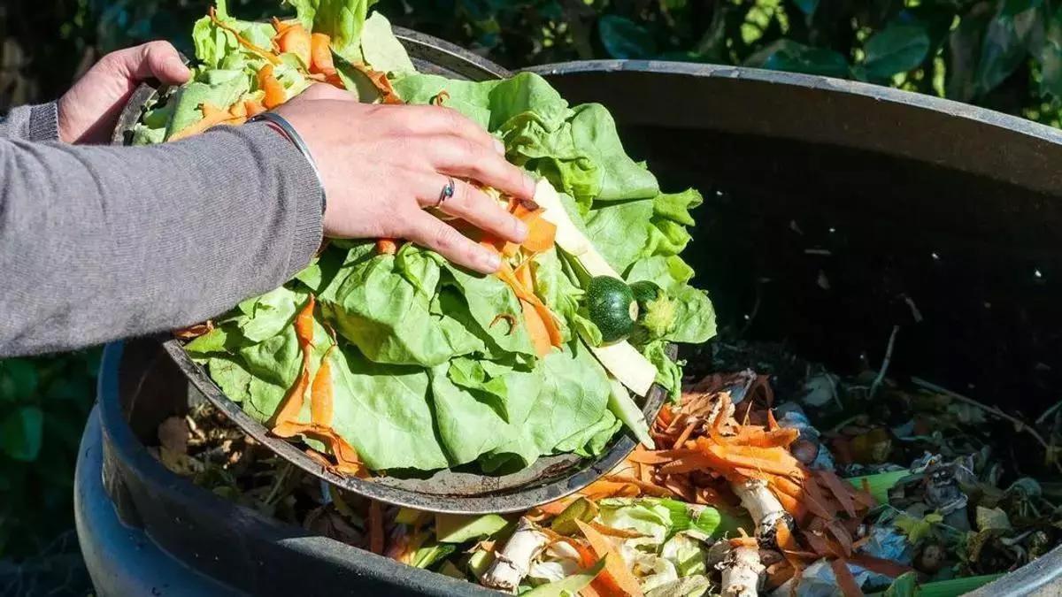Cada español tira 72 kilos de alimentos al año