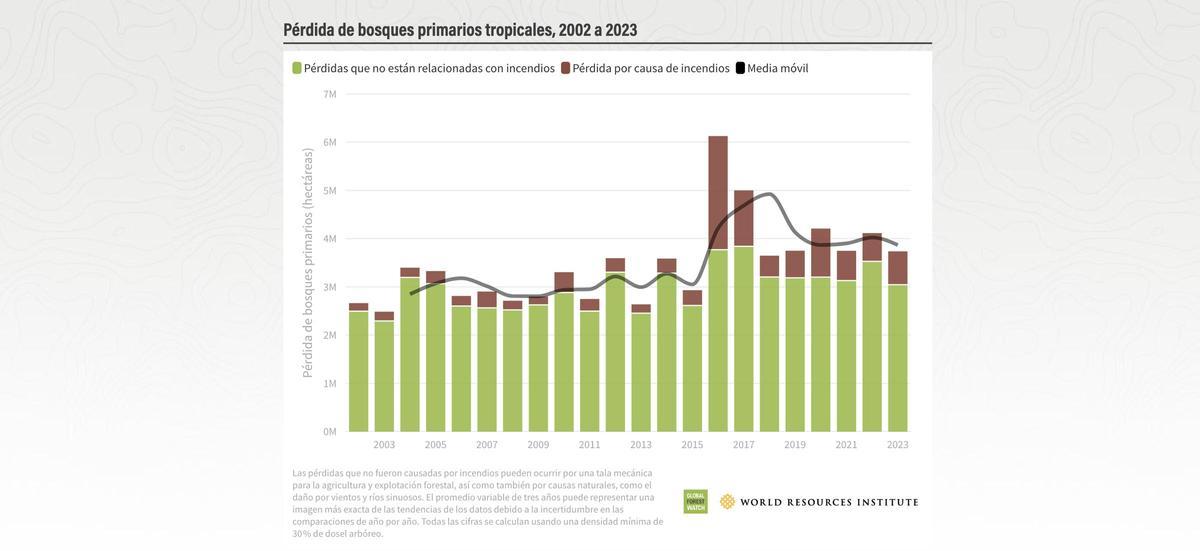 Perdida de bosques primaires tropicales.