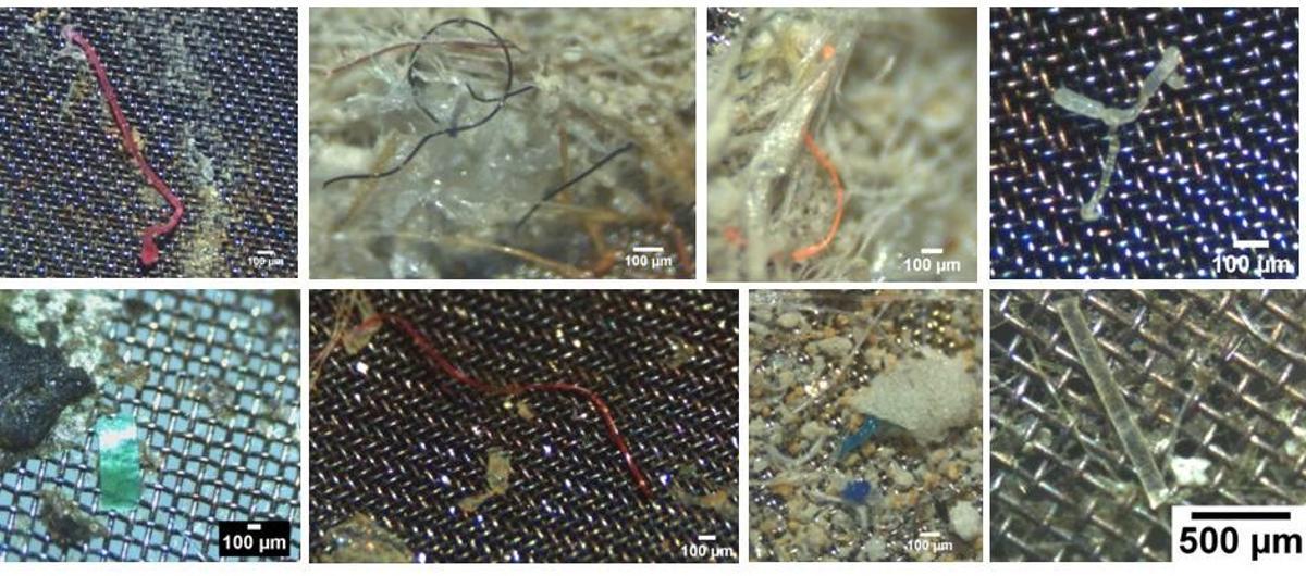 Microplastiques