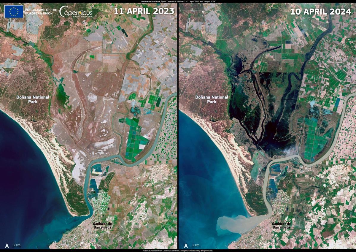 Image satellite comparative entre les mois d'avril 2023 et 2024 où l'on apprécie la différence dans les niveaux d'inondation des inondations de Doñana.