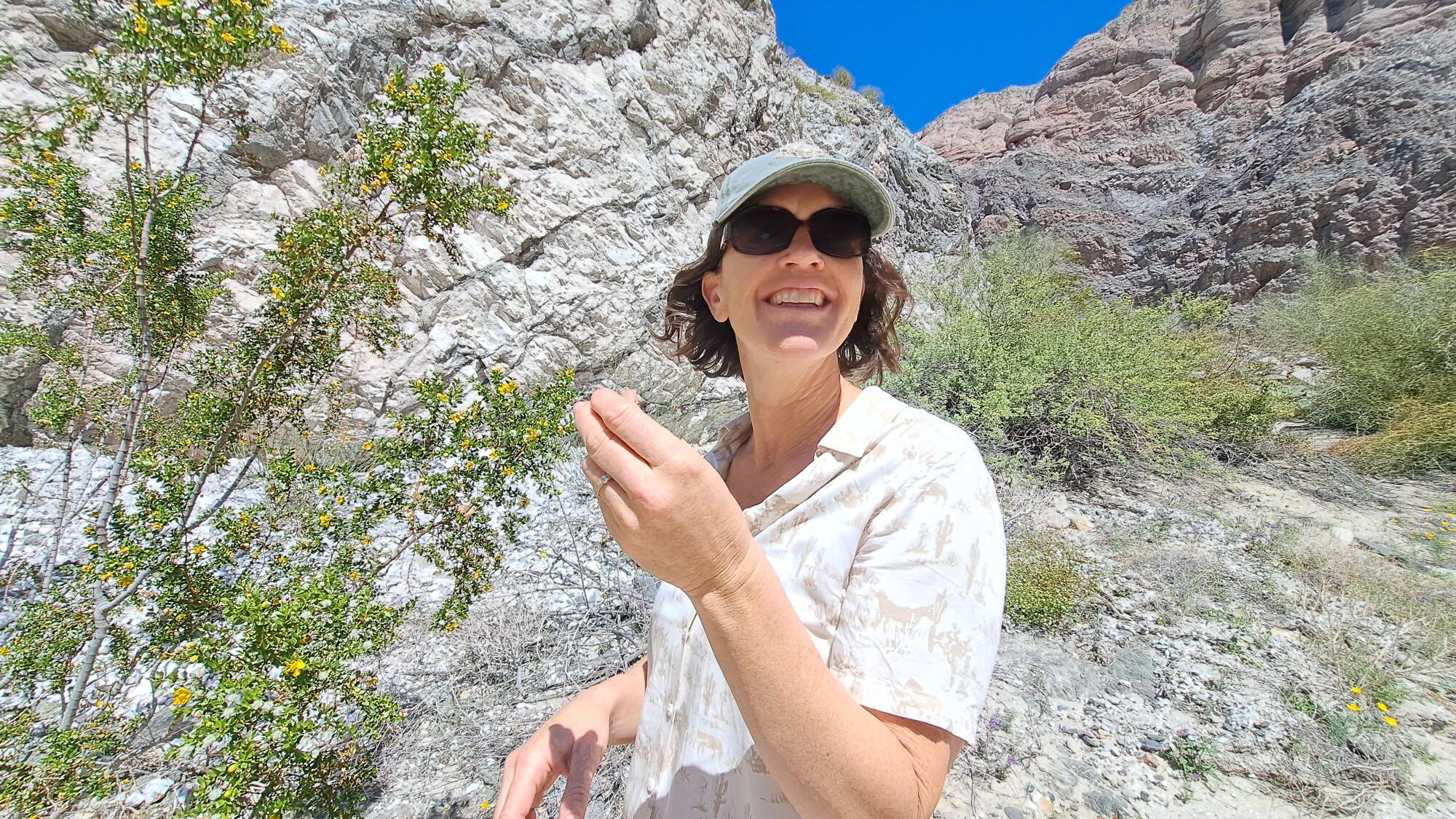 Une femme portant des lunettes de soleil et une casquette respire l'odeur d'un buisson de créosote