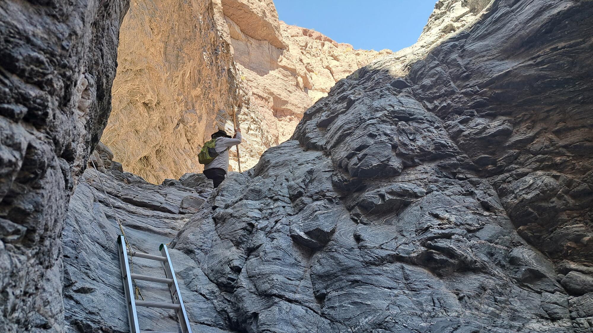 Une échelle mène à une falaise ombragée, où un homme fait de la randonnée