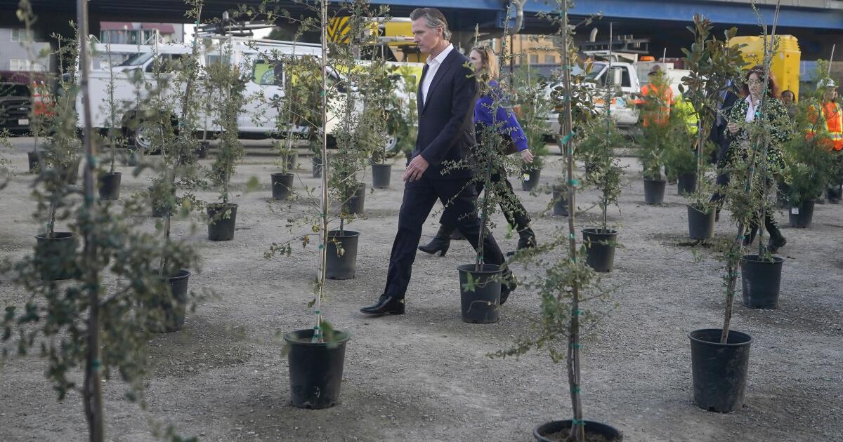 Le plan de Newsom pour exploiter les terres californiennes pour lutter contre le changement climatique