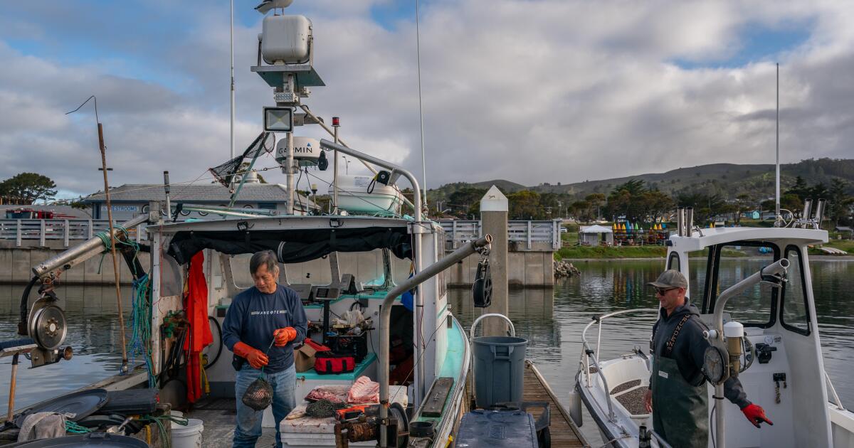 Le saumon est en difficulté – et la flotte de pêche aussi