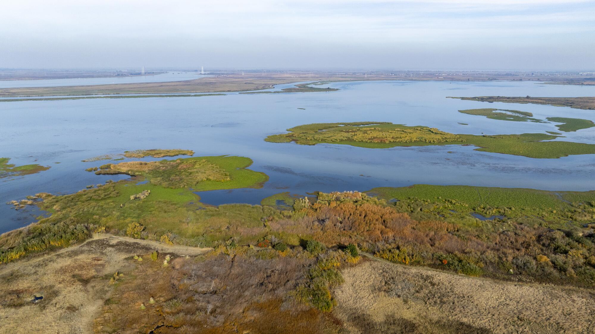 Les zones humides s'étendent le long du rivage à Big Break, dans le delta de la rivière Sacramento-San Joaquin, près d'Oakley.