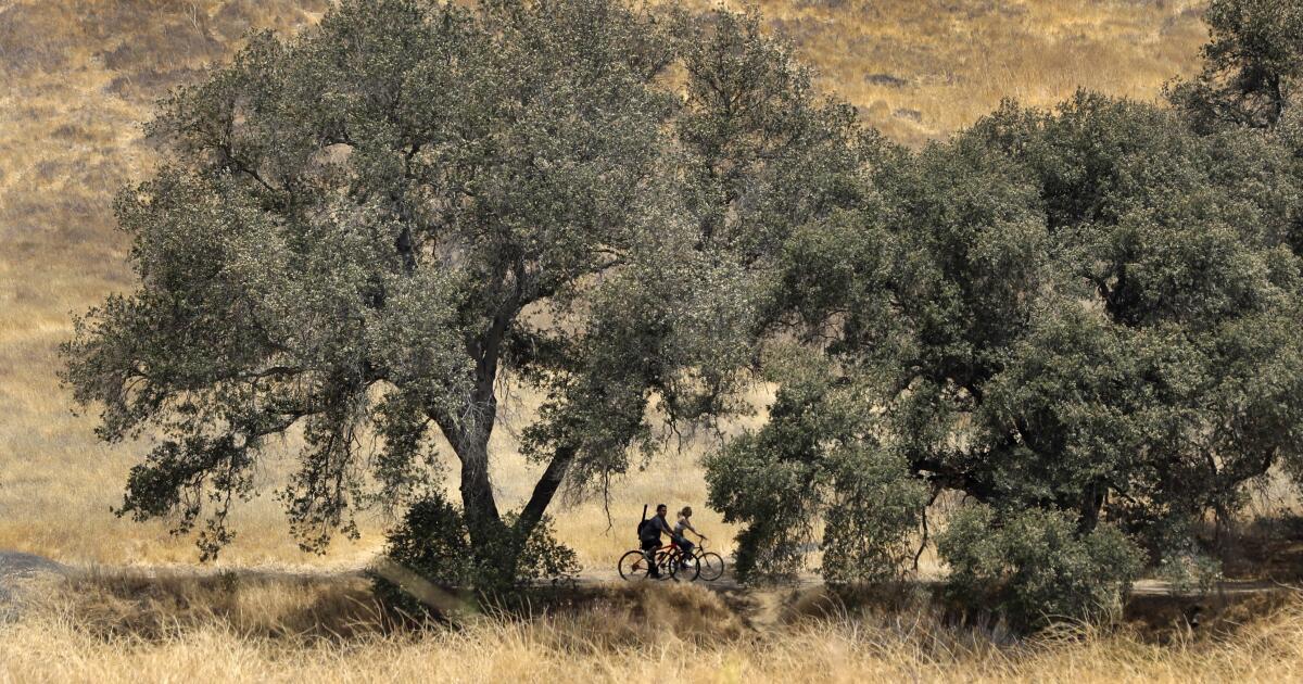 Un ancien employé des California State Parks réclame 4 millions de dollars en justice