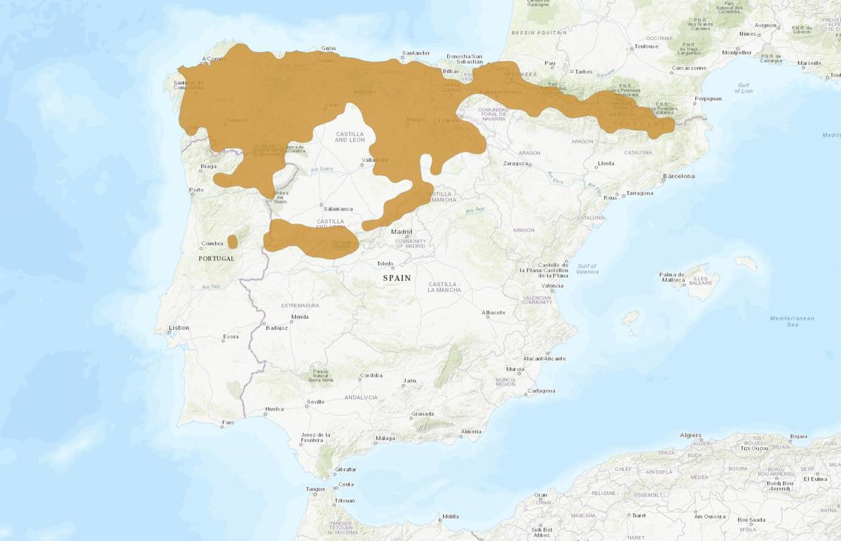 Zone de distribution du desman ibérique.