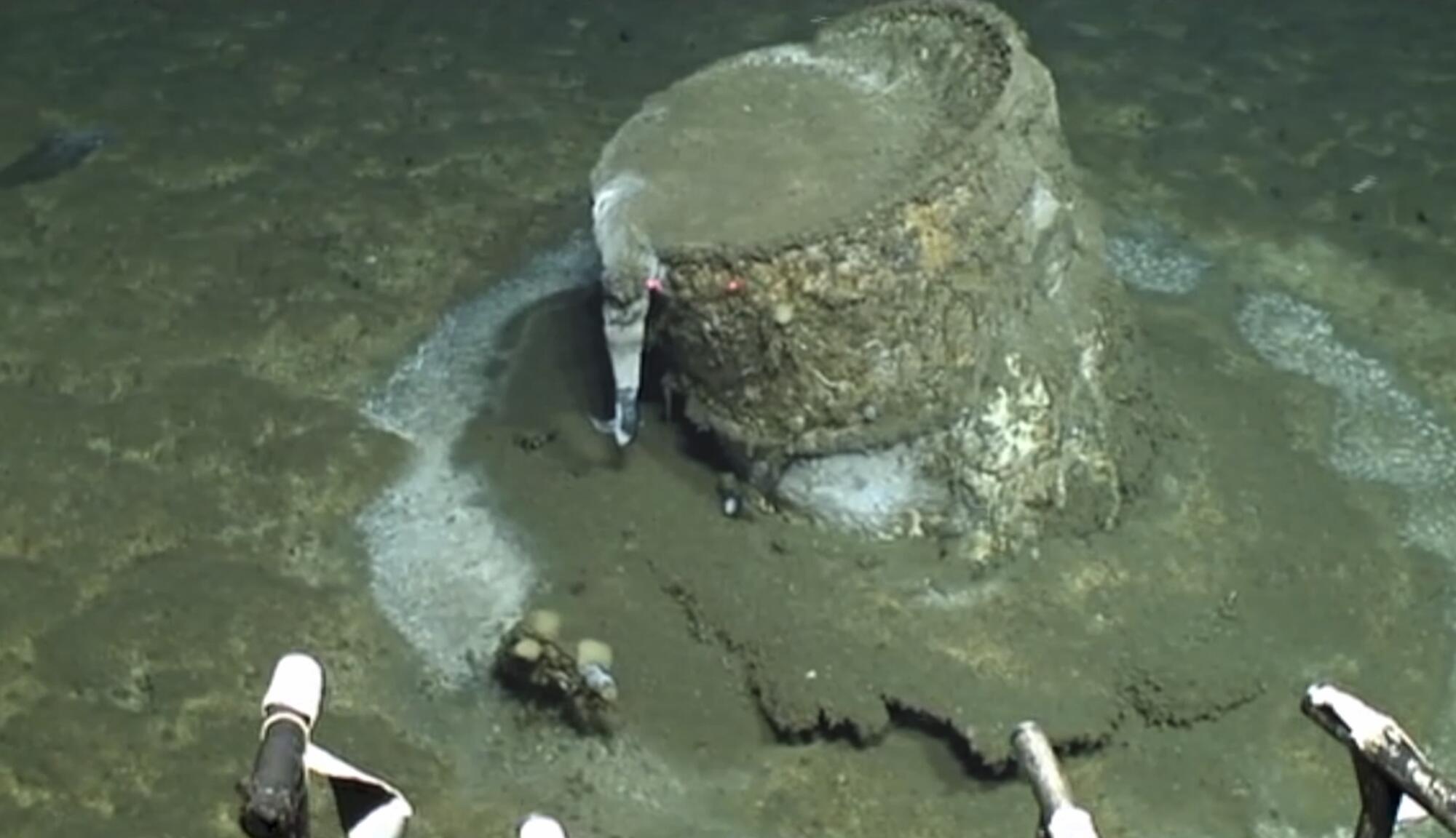 Un tambour en acier corrodé et partiellement enterré s’élève du fond marin. 