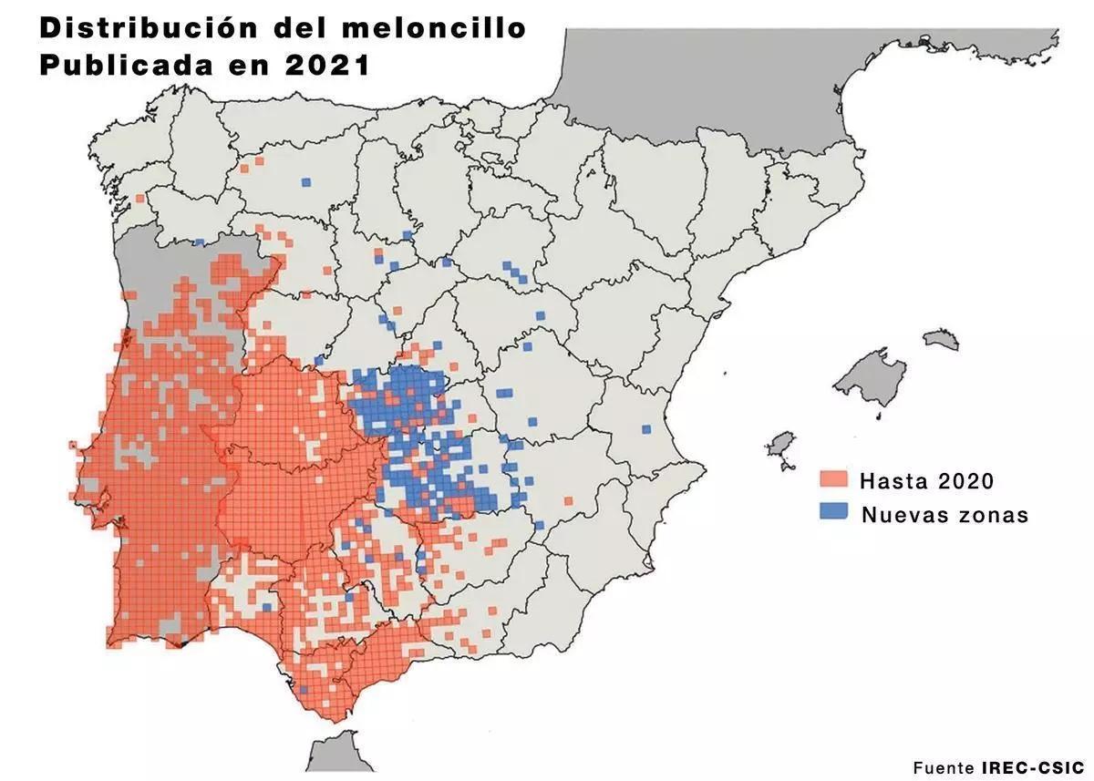 Distribution géographique du meloncillo