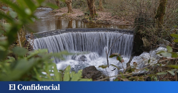 Assez de « déchets hydrologiques » : l’Europe accélère la suppression des obstacles sur ses rivières