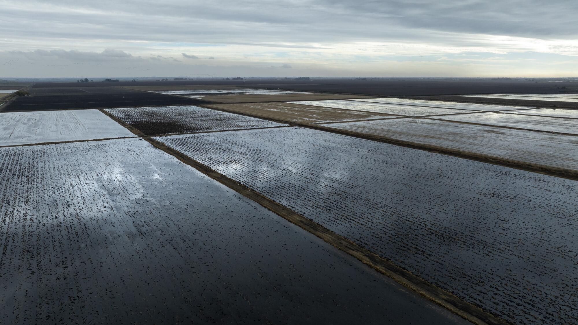 Les champs inondés reflètent un ciel nuageux. 