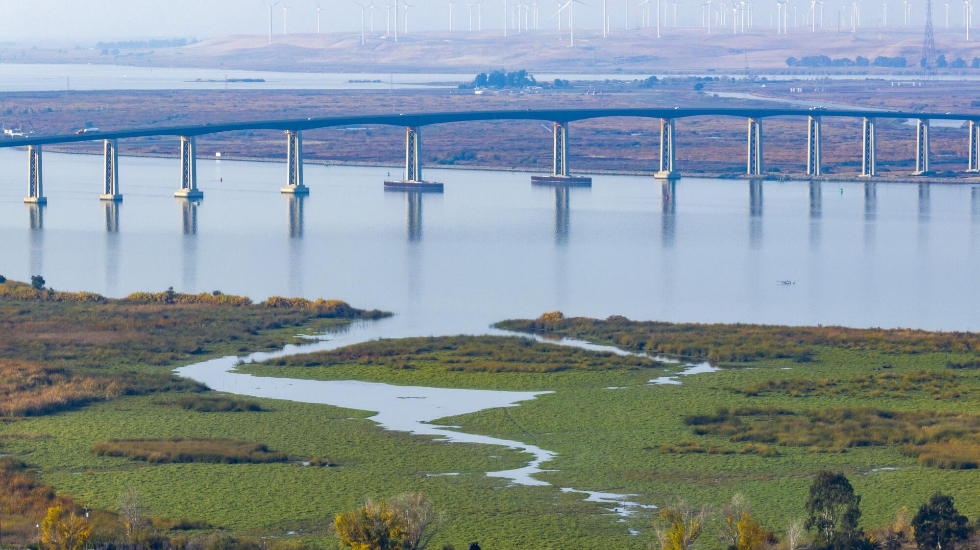 Un pont enjambe une rivière et une zone humide. 
