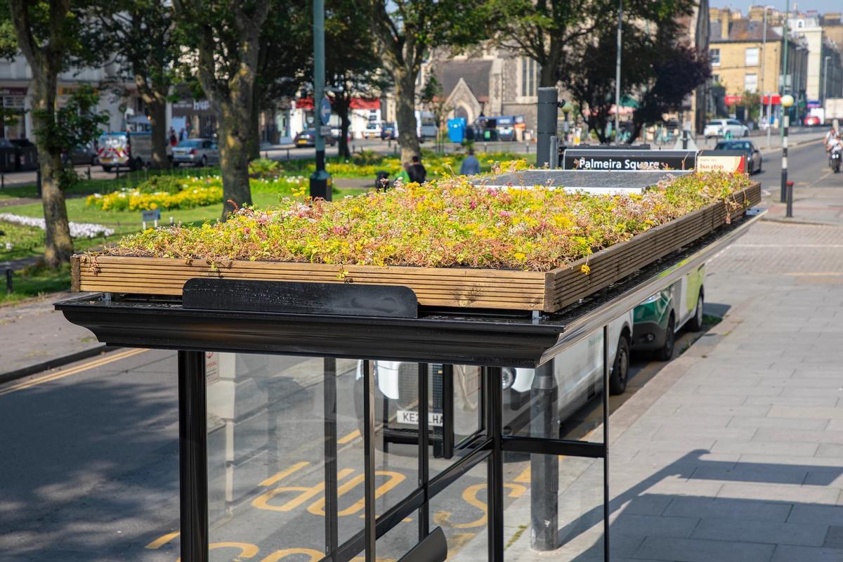 Jardin dans un parada
