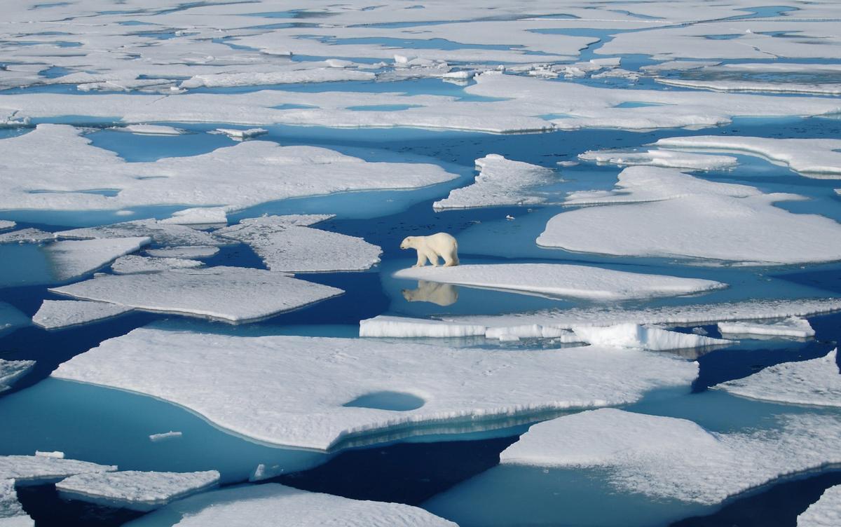 Les polos se financent et le niveau de la mer est sube