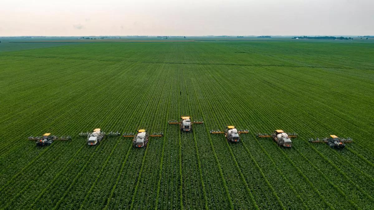 Plantation d'agriculture intensive.