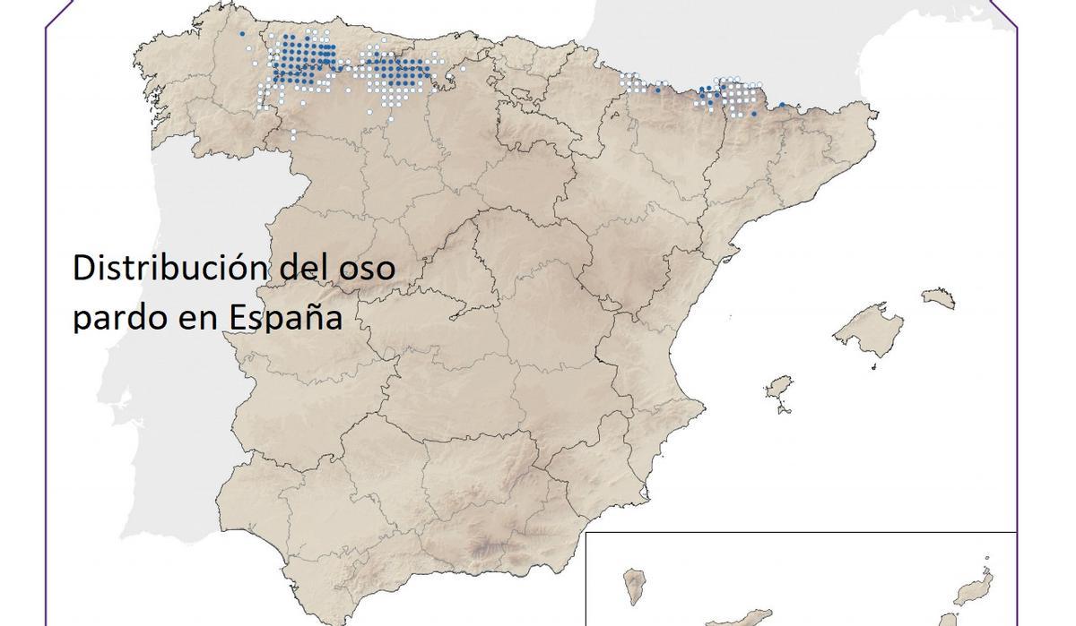 Distribución del oso pardo en España.