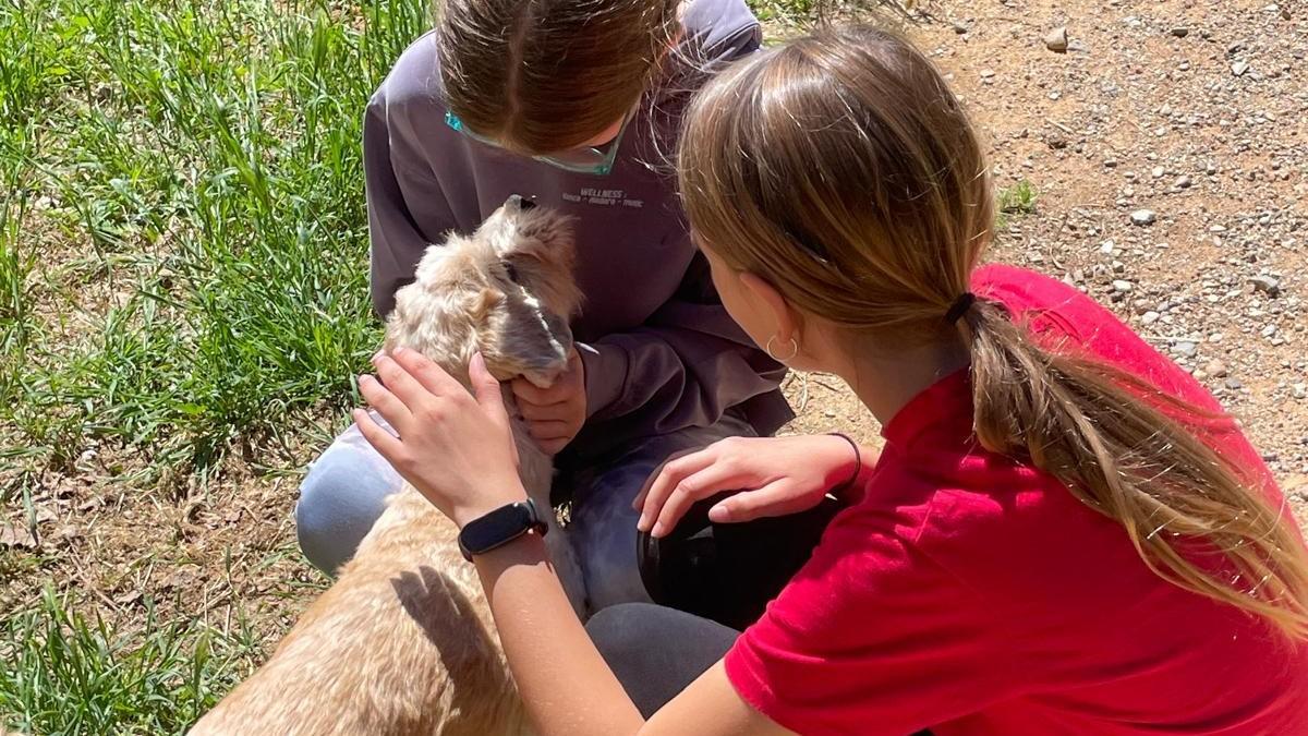 Deux enfants jouent avec un perdant de la Fondation Altarriba dans le Bú Bup Parc de La Bisbal.