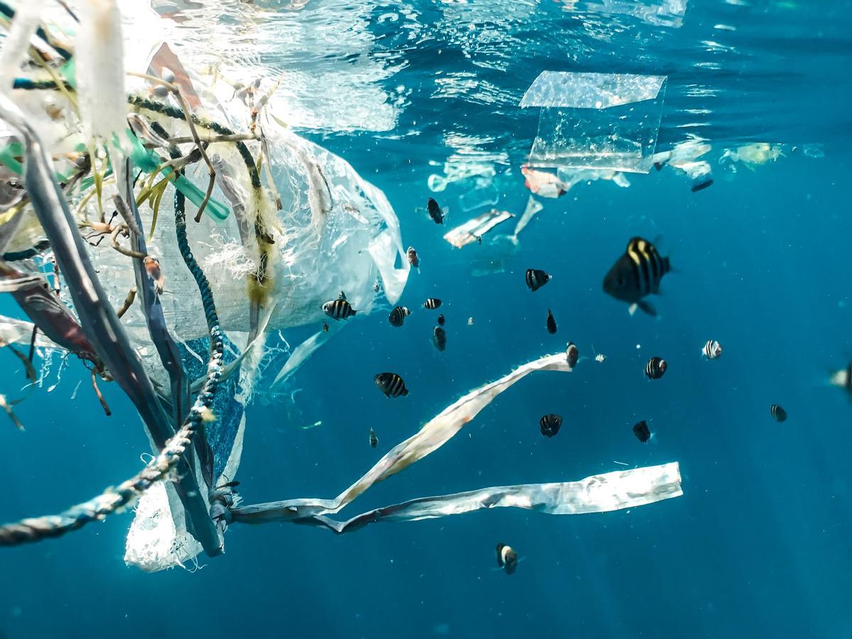 Plastique sur la mer