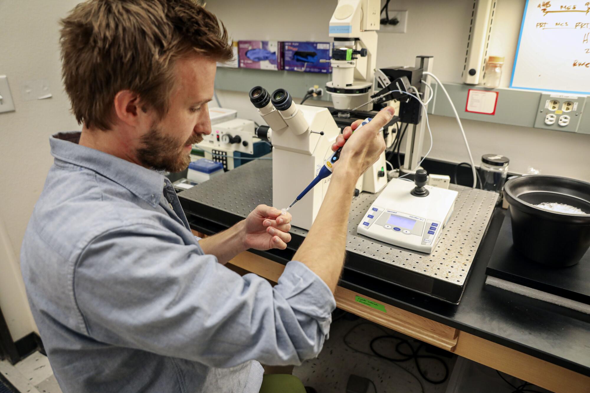 Elliot Jackson, chercheur postdoctoral, travaille avec des œufs d'oursin dans un laboratoire de Scripps