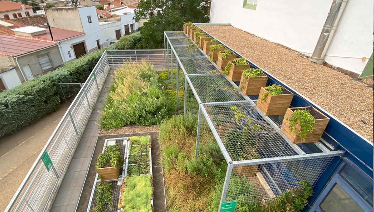 Installation de végétation dans les maisons avec plus de chaleur