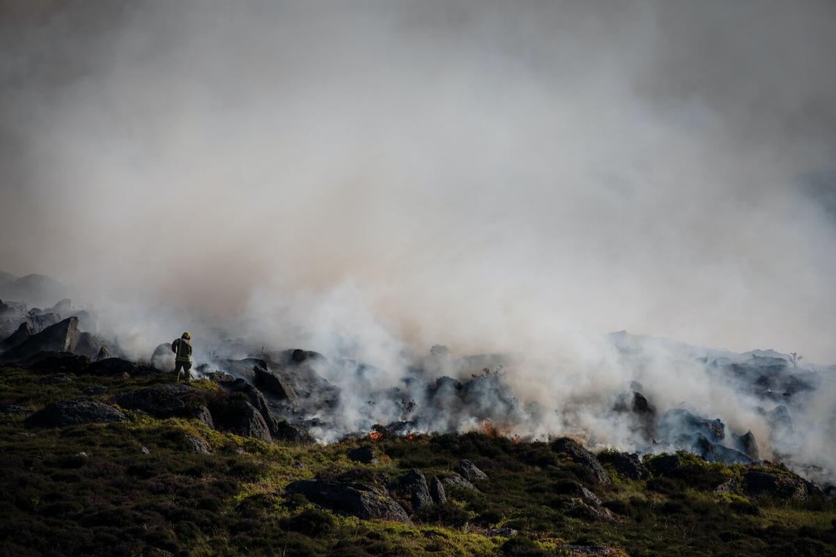 Los incendios zombies no tienen lama y duran mucho tiempo
