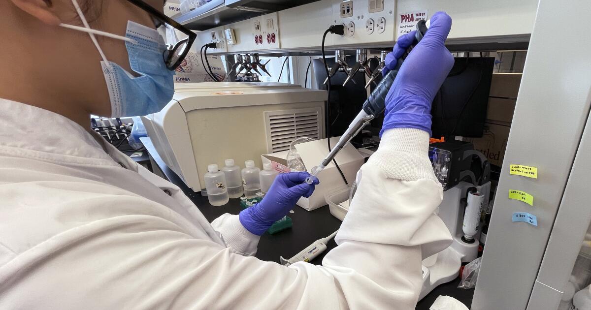 Des experts critiquent le CDC pour son incapacité à tester les eaux usées à la recherche de signes du virus de la grippe aviaire H5N1