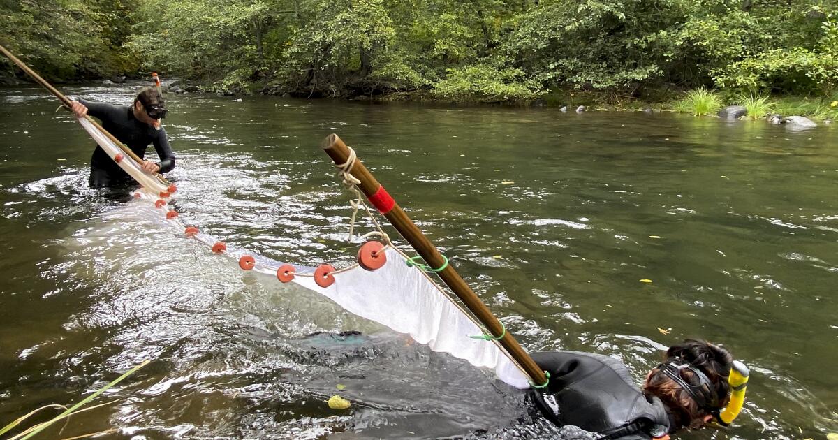 La Californie interdit la pêche au saumon dans les rivières pour une deuxième année