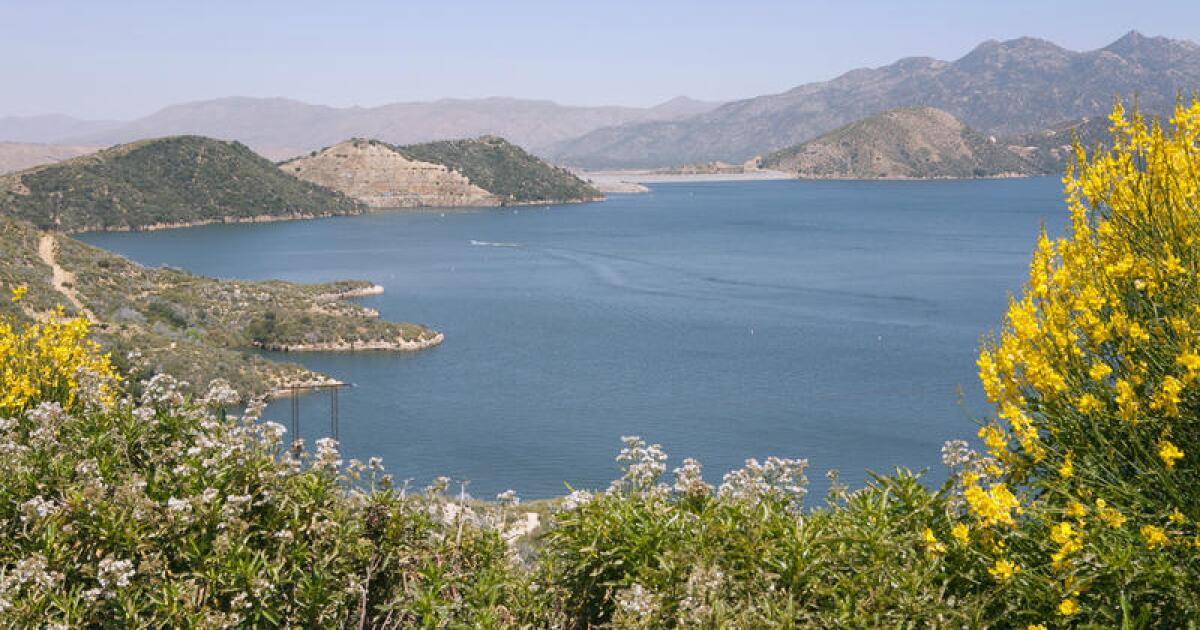 La prolifération d'algues toxiques dans le lac San Bernardino suscite un avertissement