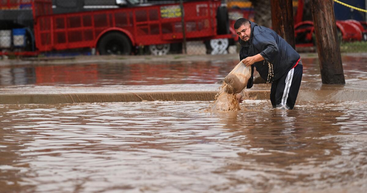 Les prévisions annoncent une saison des ouragans active