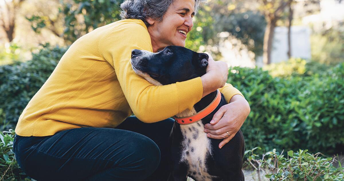 Nos chiens et nos chats échappent-ils au radar de la grippe aviaire ?