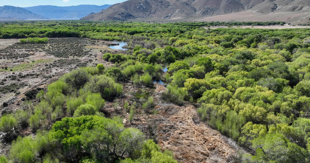 Un scientifique veut sauver les habitats qui dépendent des eaux souterraines