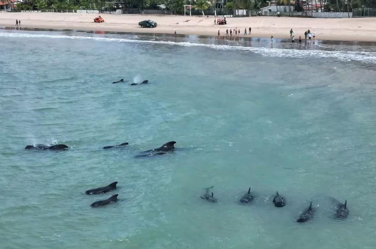Playa en la que han ocurrido los hechos