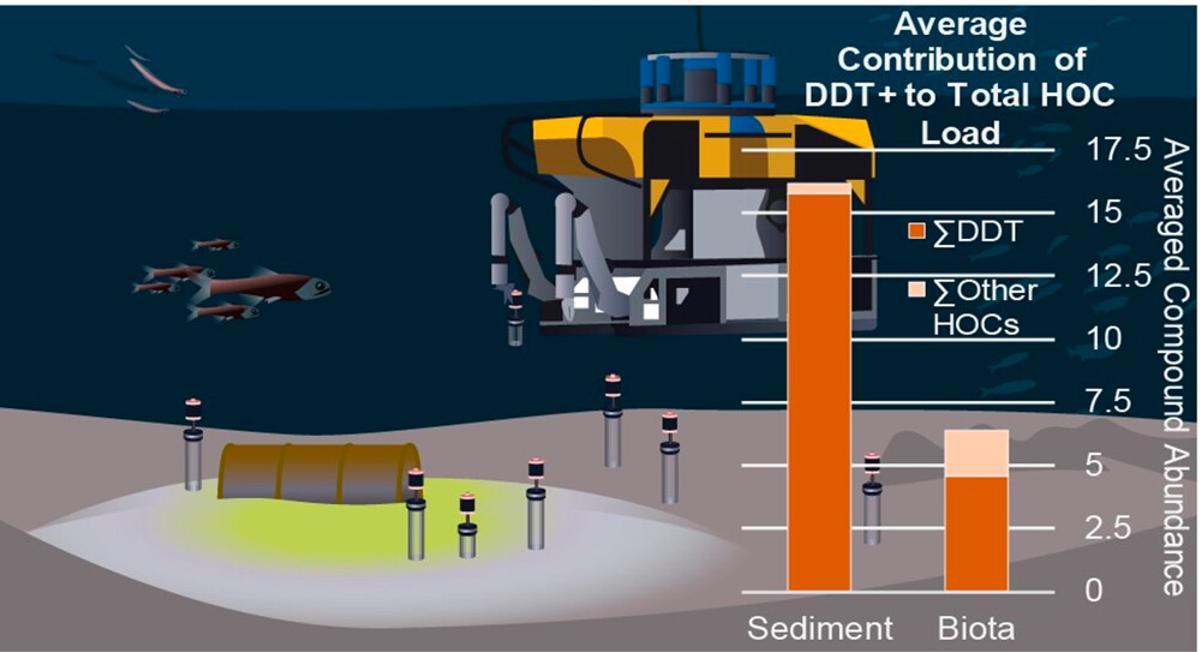 Des niveaux de DDT trouvés dans le fond marin analysé