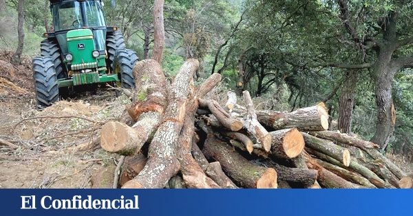20 mai.  L'Espagne épuise toutes ses ressources naturelles cette année : et maintenant, que faisons-nous ?
