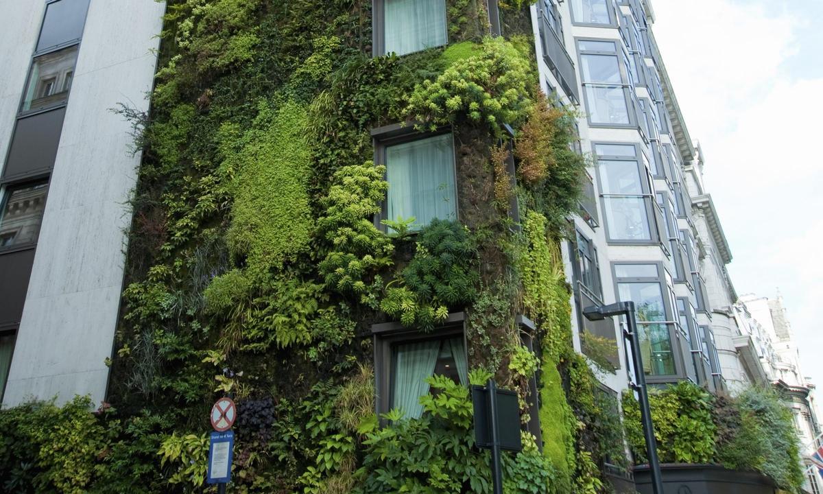 Exemple de jardin vertical