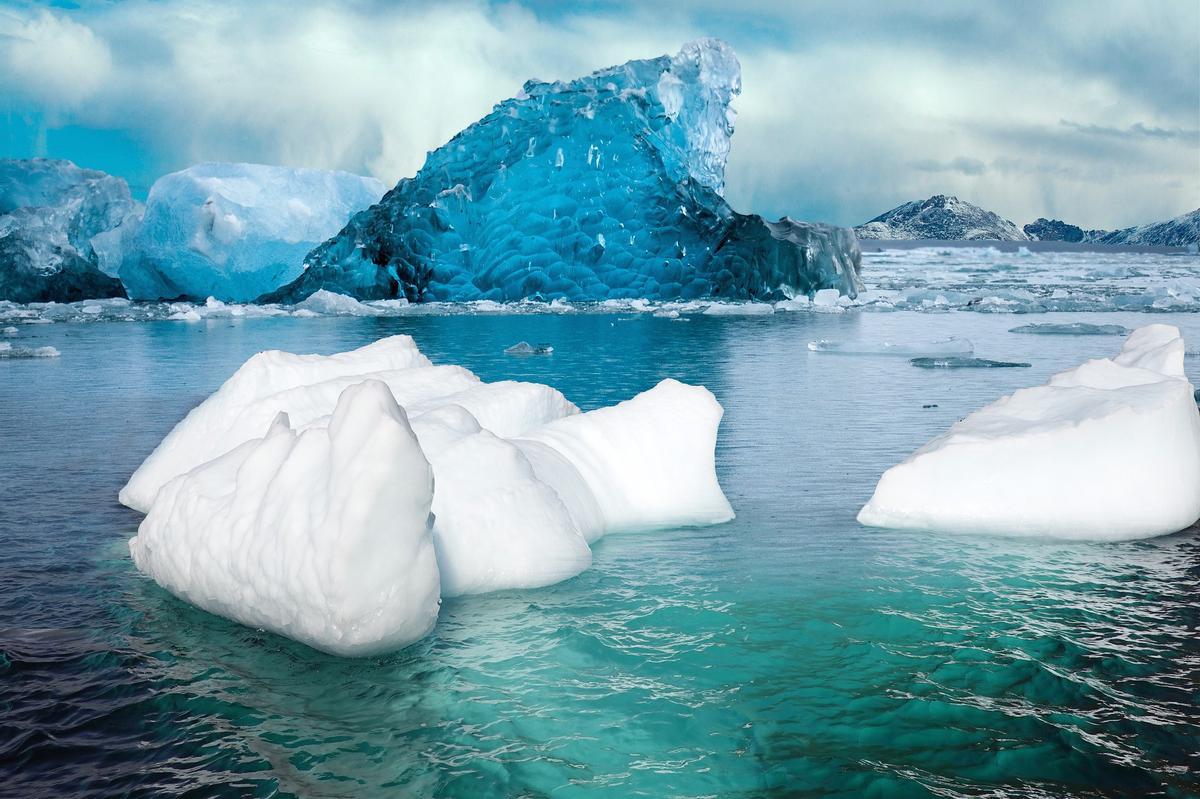 Le chauffage de l'Arctique favorise l'apport du saumon