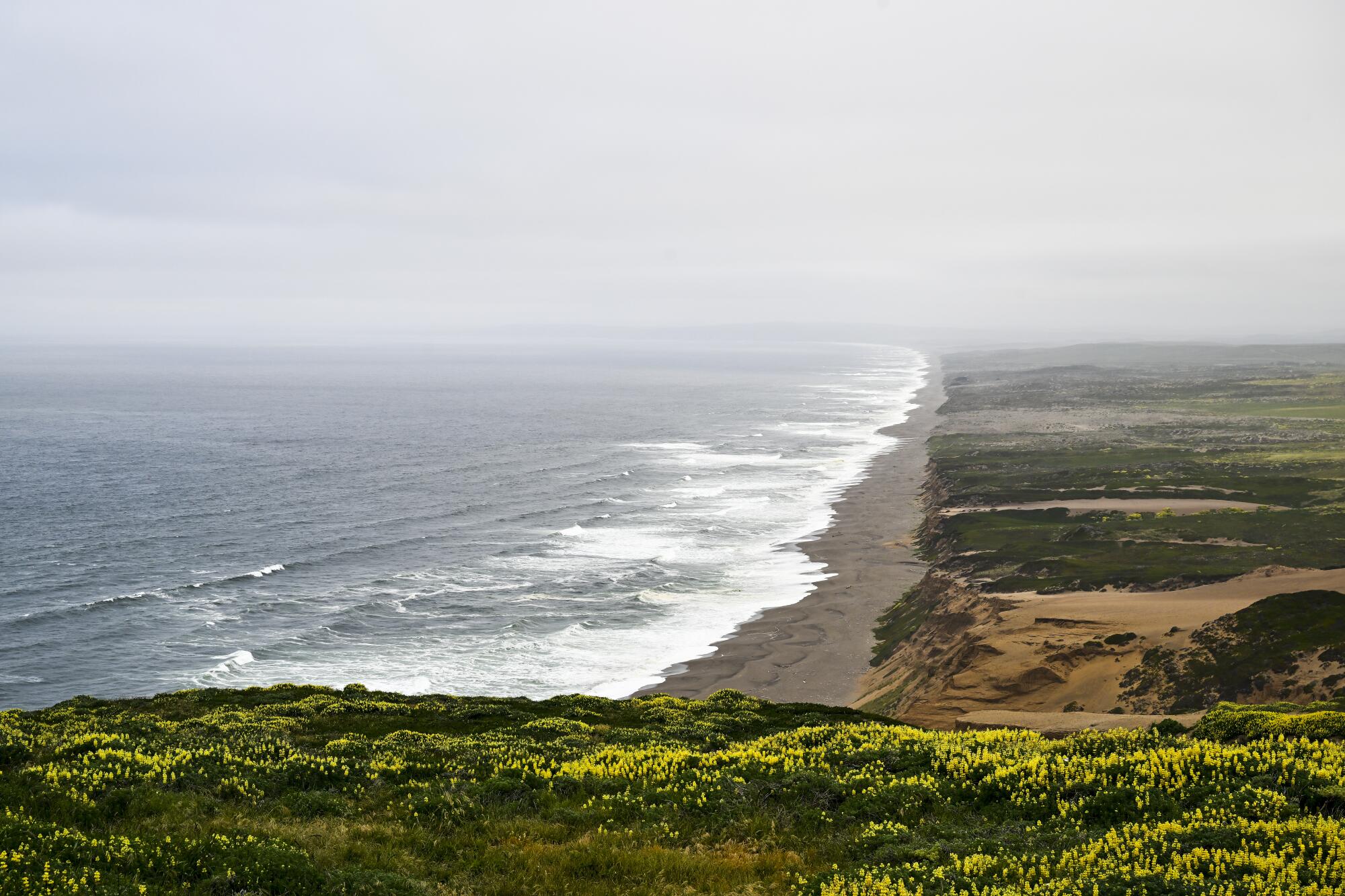 Une vue aérienne d’un bord de mer brumeux et rocheux. 