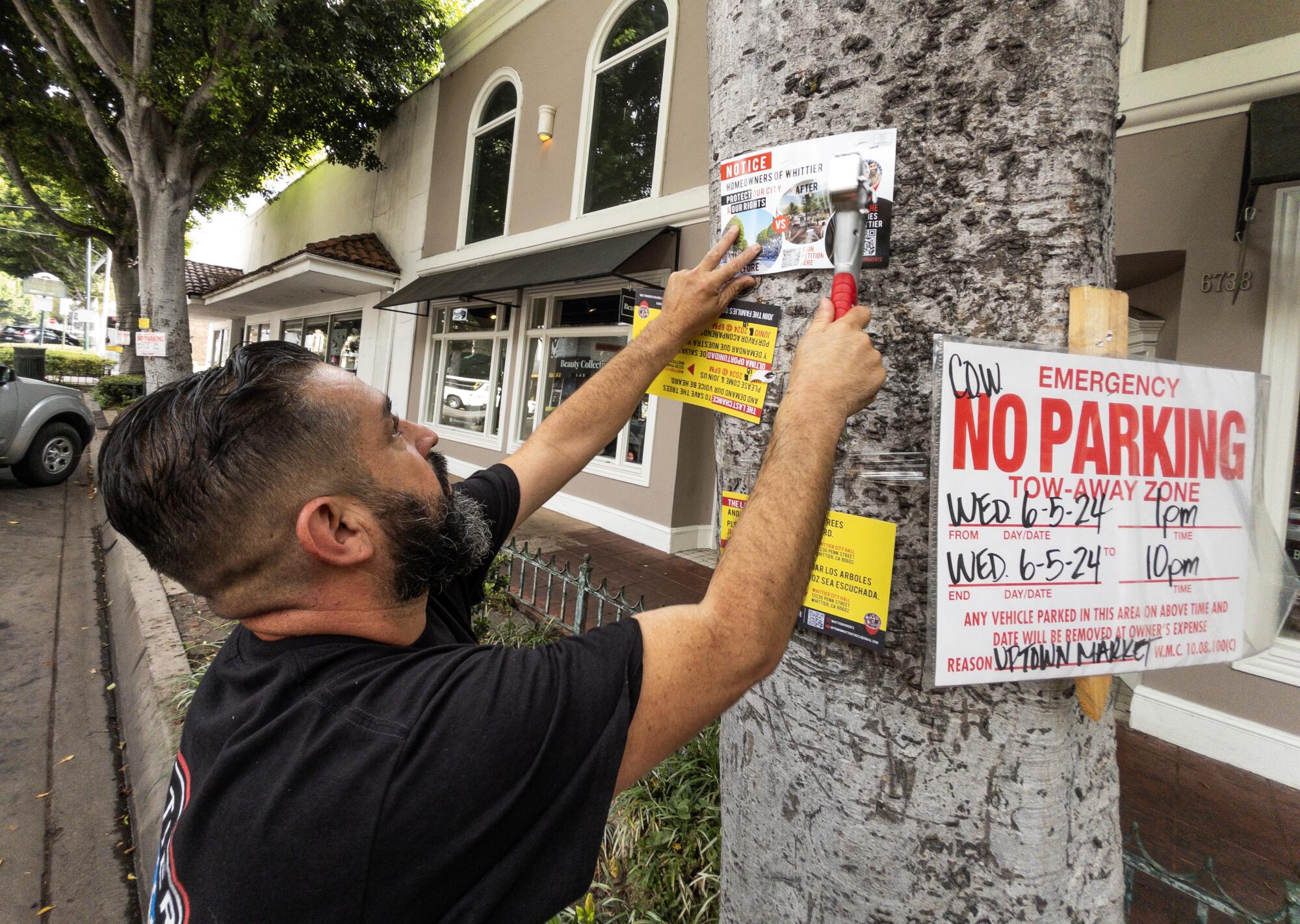Une personne met une pancarte sur un arbre.