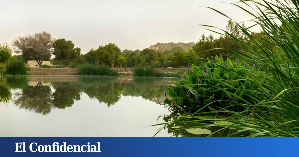 Résilience à la sécheresse : ce sont les « infrastructures vertes » qui utilisent déjà de l'eau régénérée